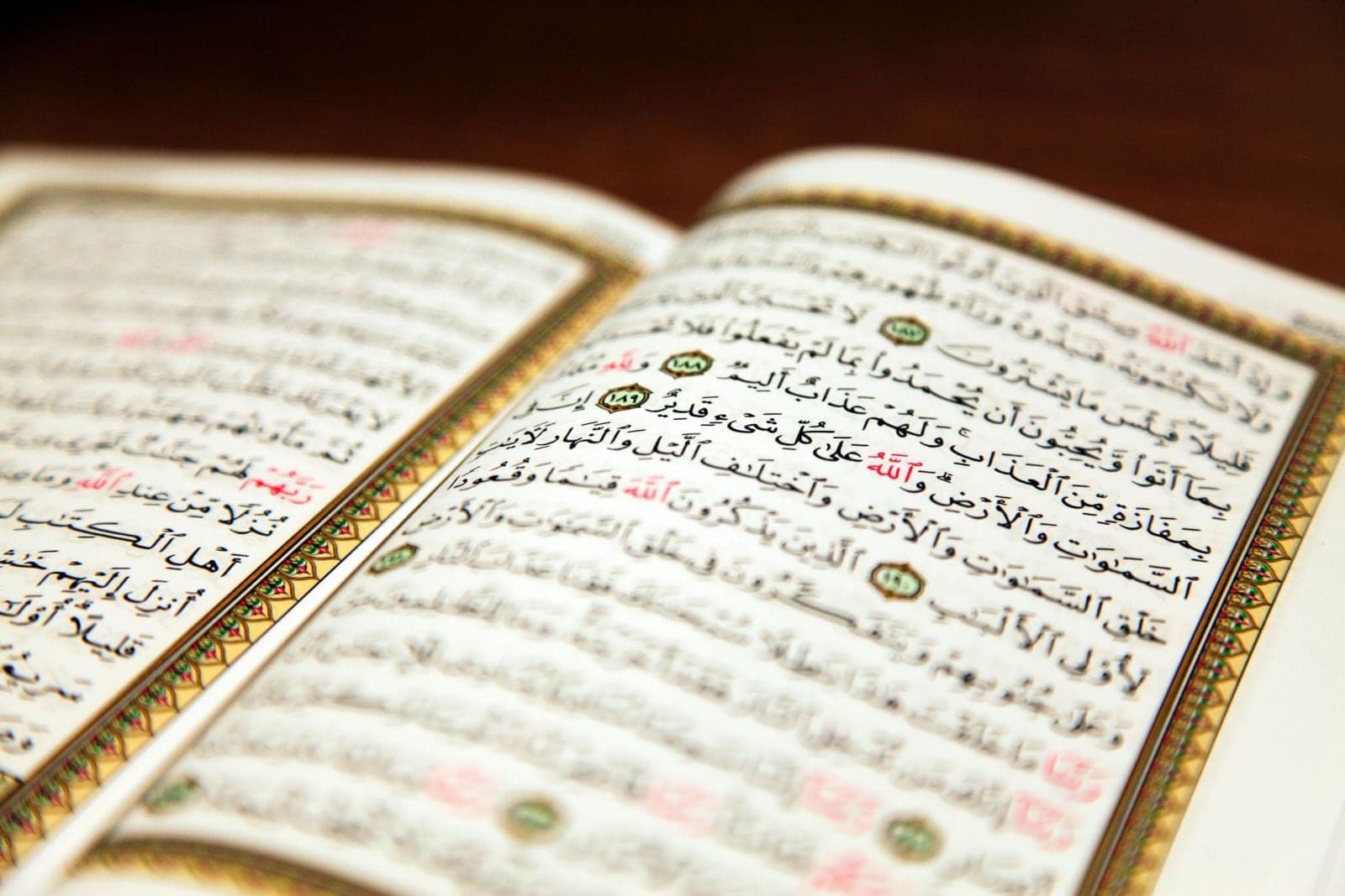 An open Mushaf with gold-bordered pages of Arabic Qur'anic text